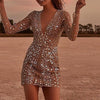 Audrey | Sequin V-Neck Sheer Sleeve Dress